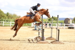 SBM_003952