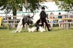 SBM_08768