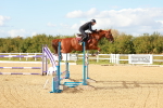 SBM_002193
