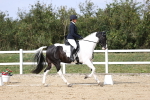 SBM_017985