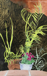 palm leaves with Kalancho