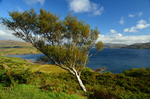 Loch Tuath, Mull, Argyll