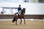 SBM_010182