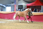 SBM_02989