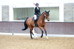 SBM_003342