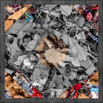 Beauty in bits (of fabric and leaves)