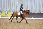 SBM_007473