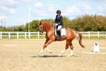 SBM_000336
