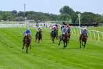Race 1 14.30pm British EBF Maiden Fillies' Stakes portfolio