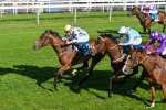 160525-Race 7-Delicacy-7449