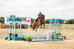 Class 21 - Senior Newcomers Championship 2d Rd portfolio