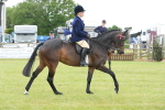 SBM_15953
