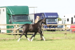 SBM_00783
