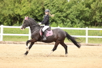 SBM_000352