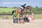 BPP_3931