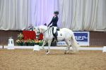SBM_002536