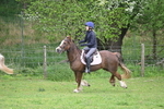 WJ6_3379