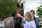 160926-Race 1-Austrian Theory-9317