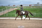 Arena B DR 13.00 to 14.00 portfolio