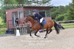 BPP_9155