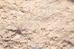 260628-082707-06474