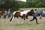 WJ6_5615