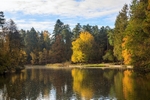 Late Autumn Reflections