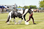 SBM_05502