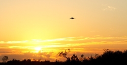 SunBeachWater  _0050