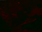 CHINA__0061