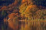 Changing Hues
