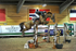 equiscot 8893