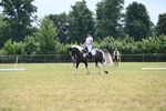 WJ6_7933