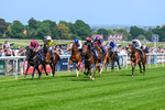Race 2 14.45pm Tigers Trust Restricted Novice Stakes portfolio