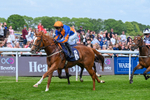 270526-Race 1-Lairy Mary-1896