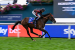 190826-Race 3-Maltese Cross-1083