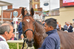 Race 3 3.10pm Happy 60th Birthday Angela Clark Nursery Handicap portfolio