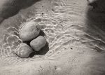 WET ROCKS, LITTLE COVE - GEORGIAN BAY