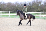SBM_006788
