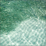 Fischschwarm