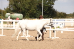 SBM_03741