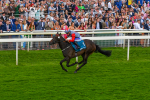 290723-Race 7-Bajan Bandit-1110