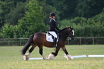 WJ7_1464