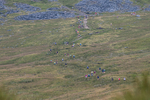 Ingleborough-602