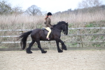 SBM_007202
