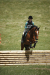 BVHT 140517  IXC -539
