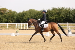 SBM_005355