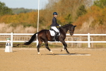 SBM_009215