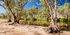 River Gums at Ormiston