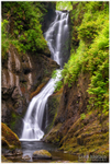 The Falls, Glenariff (IMG1066)